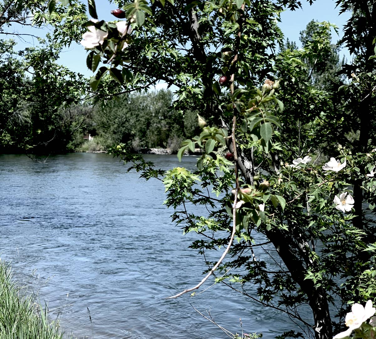 Boise River